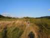 dscn9804_small.jpg