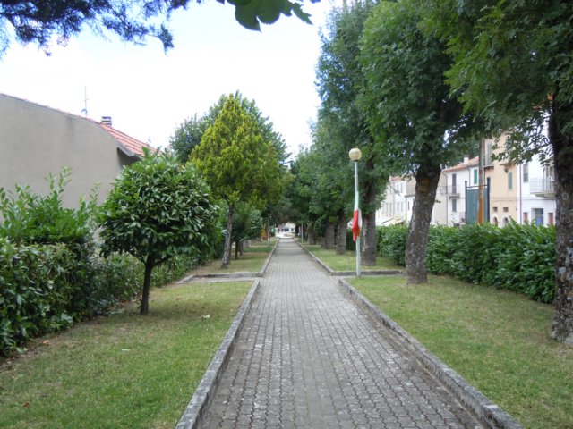 dscn9710.jpg