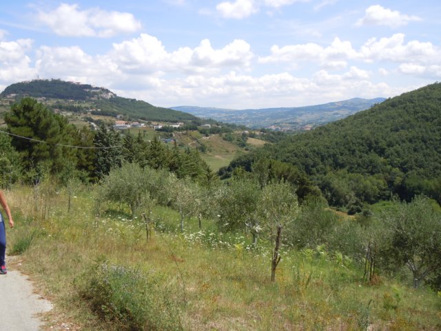 dscn9876.jpg