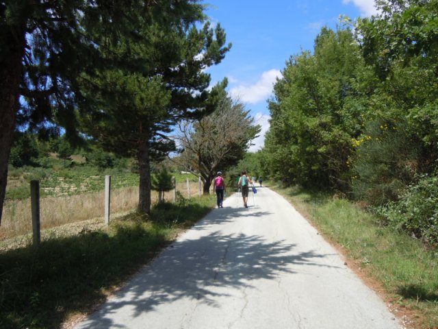 dscn9880.jpg