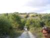 dscn9898_small.jpg