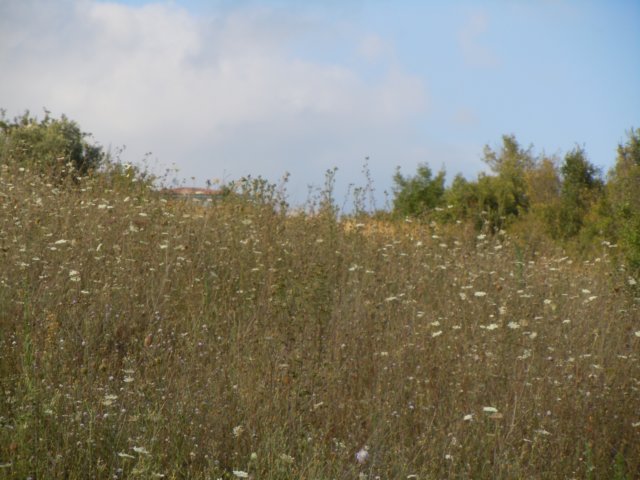 dscn9900.jpg
