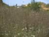 dscn9901_small.jpg