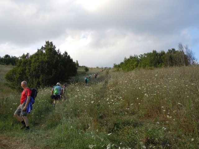 dscn9902.jpg