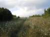 dscn9905_small.jpg