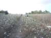 dscn9908_small.jpg