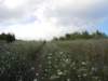 dscn9909_small.jpg