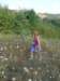 dscn9917_small.jpg