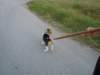 dscn9945_small.jpg