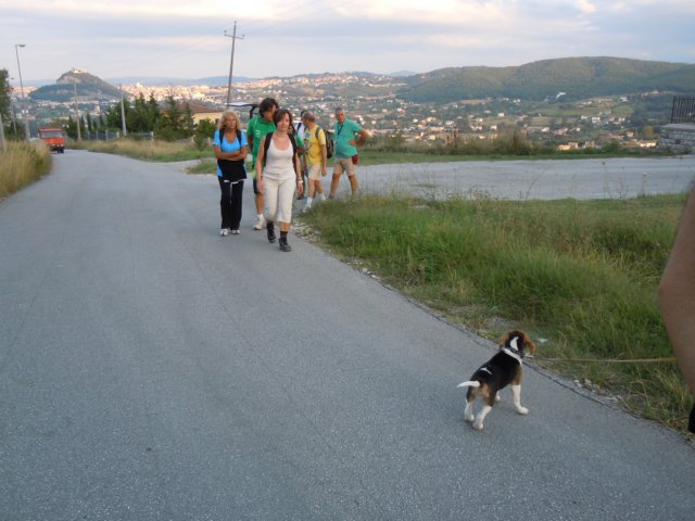 dscn9946.jpg