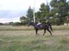 dscn9947_small.jpg