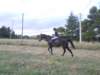 dscn9948_small.jpg