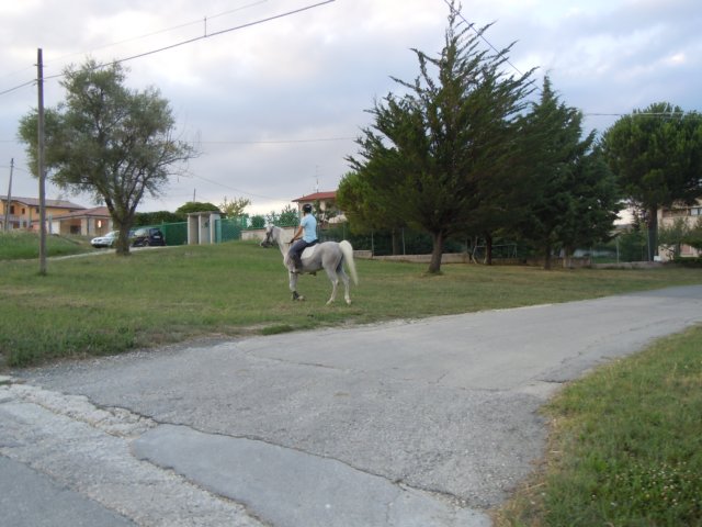 dscn9949.jpg
