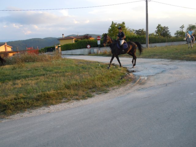dscn9955.jpg