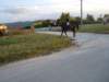 dscn9955_small.jpg