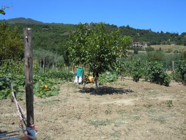 dscn0141.jpg