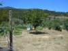 dscn0141_small.jpg