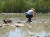 dscn0148_small.jpg