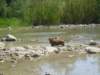 dscn0149_small.jpg