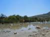 dscn0150_small.jpg