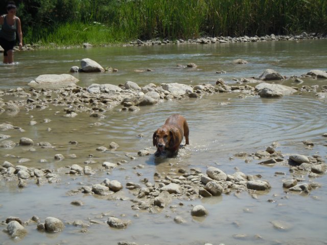dscn0156.jpg