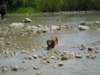 dscn0156_small.jpg