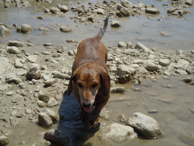 dscn0158.jpg