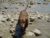 dscn0158_small.jpg