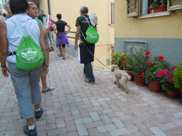 dscn0389.jpg