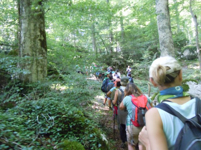 dscn0297.jpg