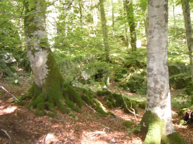 dscn0300.jpg