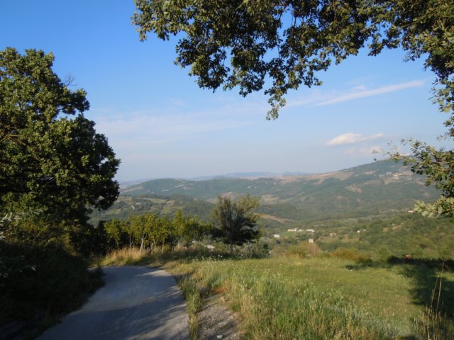 dscn0358.jpg
