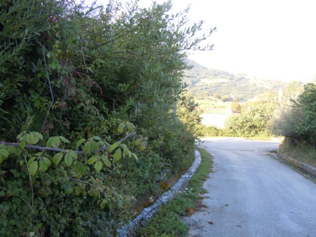 dscn0360.jpg