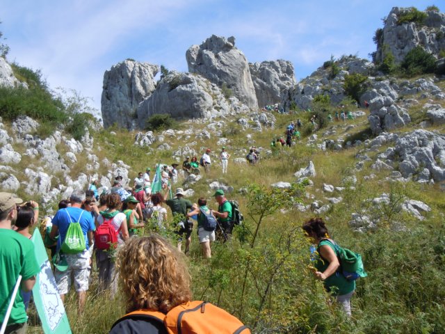 dscn0195.jpg