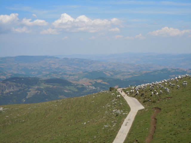 dscn0213.jpg