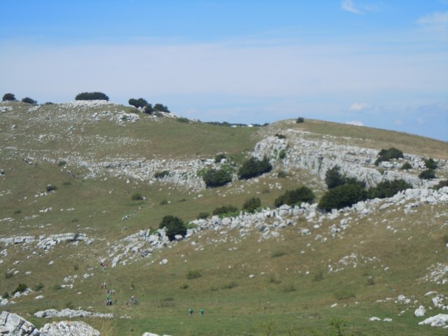 dscn0217.jpg