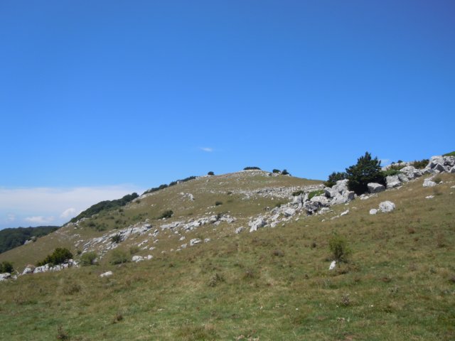 dscn0220.jpg