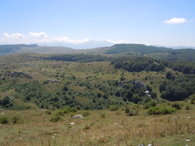 dscn0222.jpg
