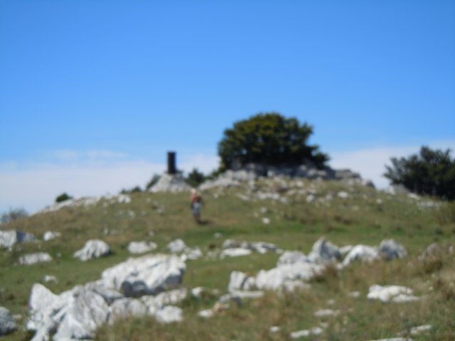 dscn0237.jpg