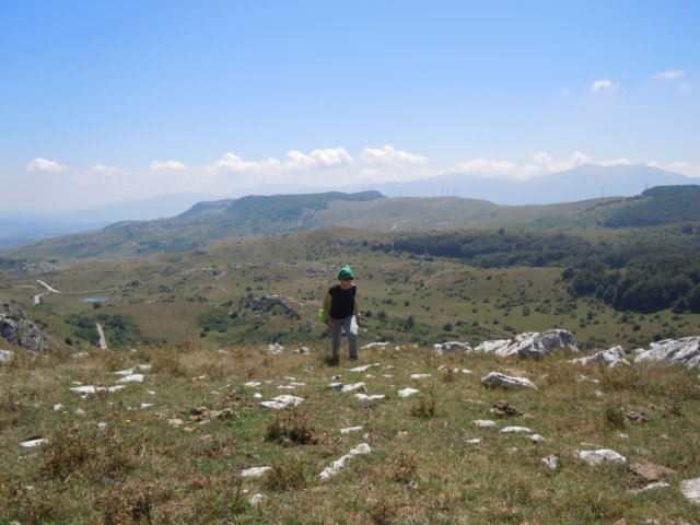 dscn0240.jpg