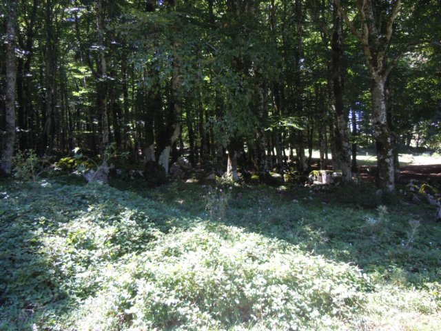 dscn0258.jpg