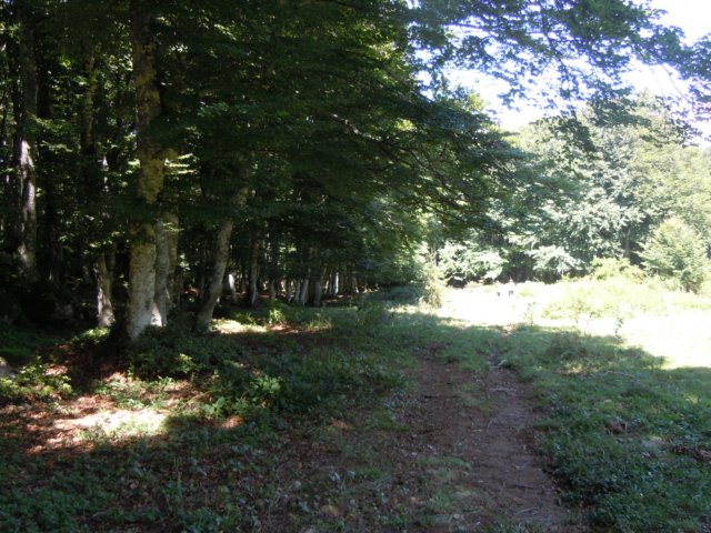 dscn0260.jpg