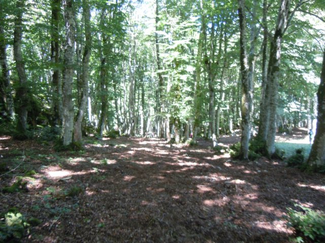 dscn0262.jpg
