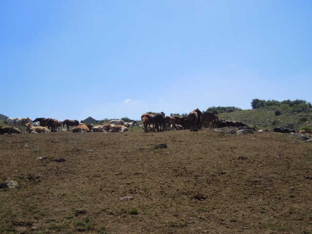 dscn0271.jpg