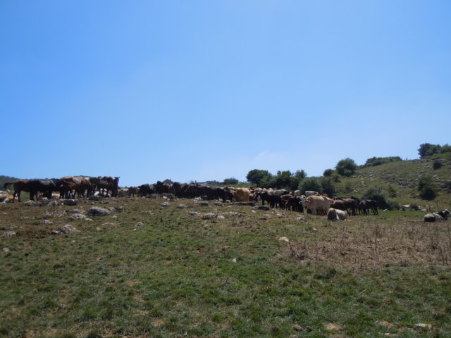 dscn0272.jpg