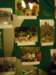 dscn0466_small.jpg