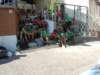 dscn0448_small.jpg