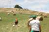 img_7386_small.jpg