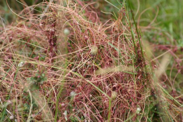 img_7394.jpg