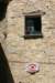 img_7330_small.jpg